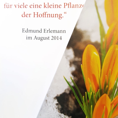 … eine kleine Pflanze der Hoffnung